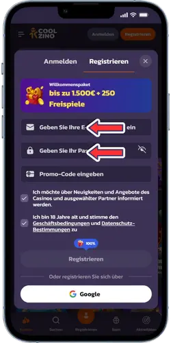 Coolzisno E-Mail und Passwort eintragen